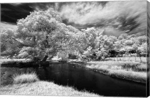 Framed Amorsolo Print