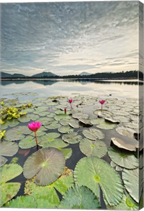 Framed Morning Lilies Print
