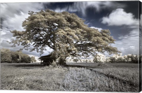 Framed San Gabriel Print