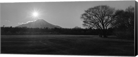 Framed Waiting For The Diamond Print