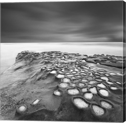 Framed Celulas Bn Print