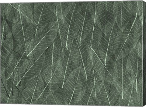 Framed Leaves 1 Green Print