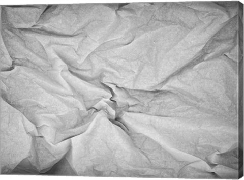 Framed Papel 2 Print