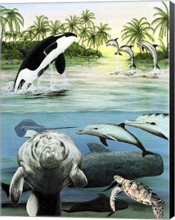 Framed Sea Life Print