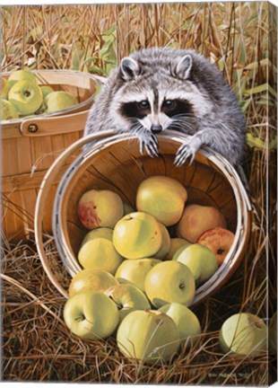 Framed Apple Harvest Print