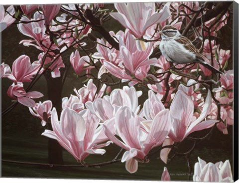 Framed Magnolia Print