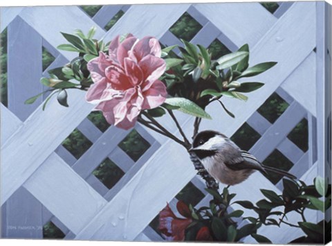 Framed White Lattice Print