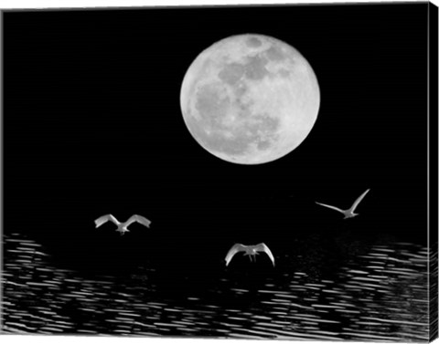 Framed Moon Flight, Delray Beach, Florida 10 Print