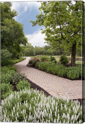 Framed Pathway at Franklin Park, Columbus, Ohio 10 Print