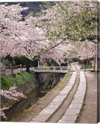 Framed Governors Walk Print