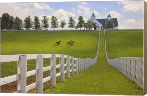 Framed Manchester Farm, Kentucky 08 Print