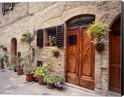 Framed Flowers On The Wall, Tuscany, Italy 06 Print