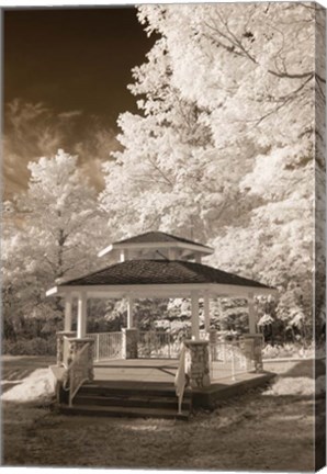 Framed Gazebo Print