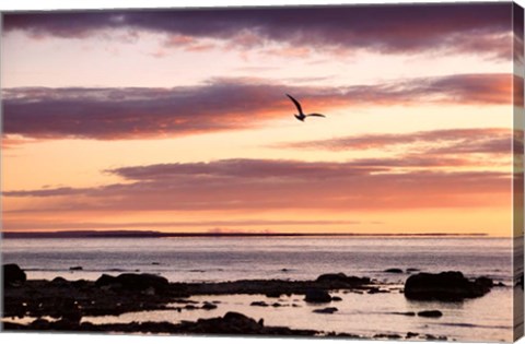 Framed Flying At Sunrise, Sault St. Marie, Michigan 12 Print