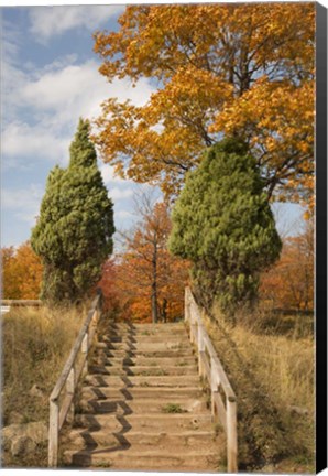 Framed Wooden Steps In Autumn, Marquette, Michigan 12 Print