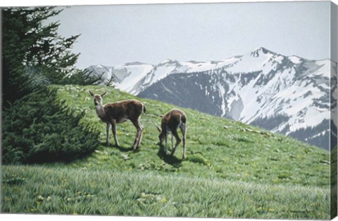 Framed Summer Grass Print