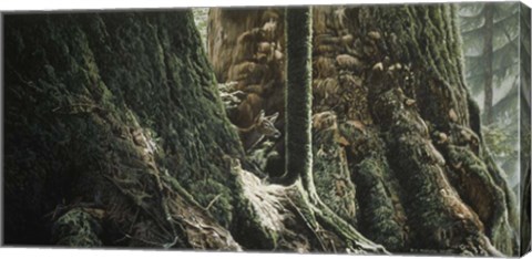 Framed Blacktail In Sitka Print