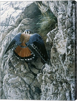 Framed Rocky Perch Print