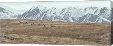 Framed Northern Skyline - Caribou Print