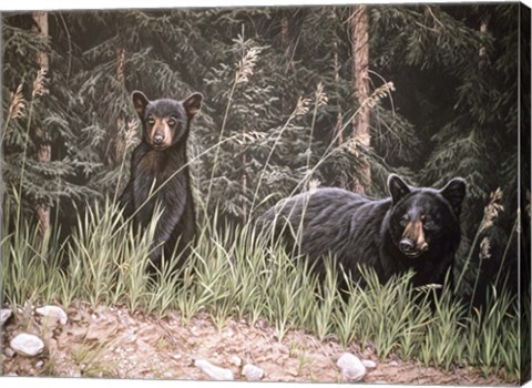 Framed Curious Cub Print