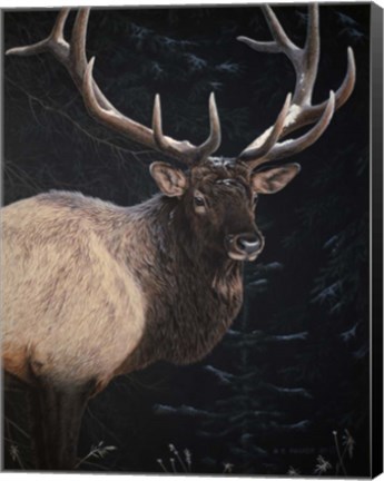 Framed Wapiti Portrait Print