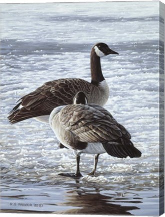 Framed Freeze Up- Canada Geese Print