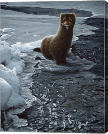 Framed Icy Creek- Mink Print