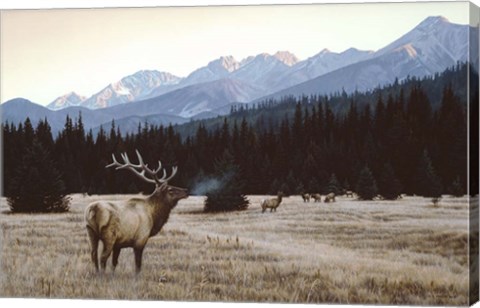 Framed Autumn Meadow Print