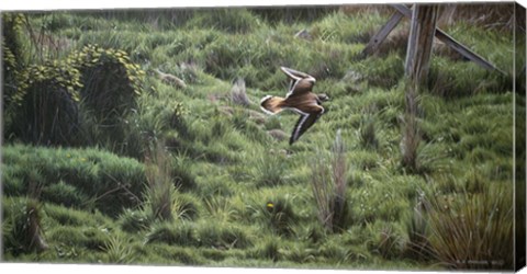 Framed Spring Flight Print