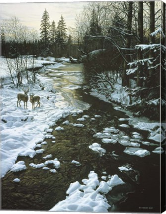 Framed Winter Creek &amp; Whitetails Print