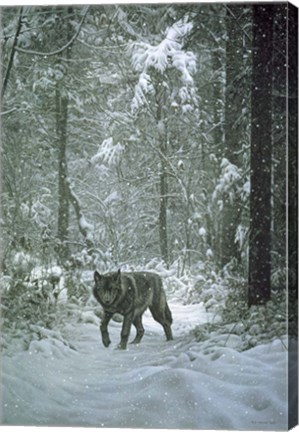 Framed Winter Encounter - Wolf Print