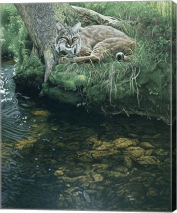 Framed Summer Stream Bank Print