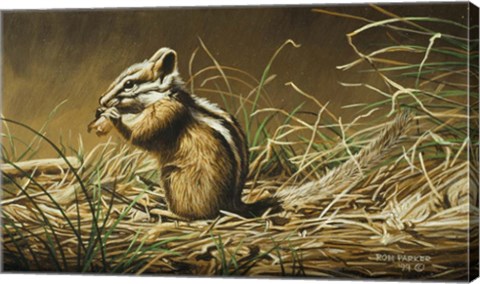 Framed Chipmunk Print