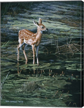 Framed Ponds Edge Print