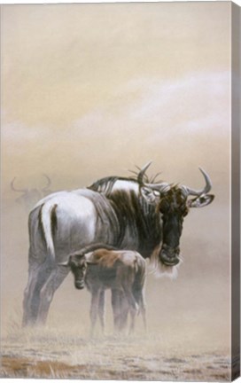 Framed Wildebeest Print