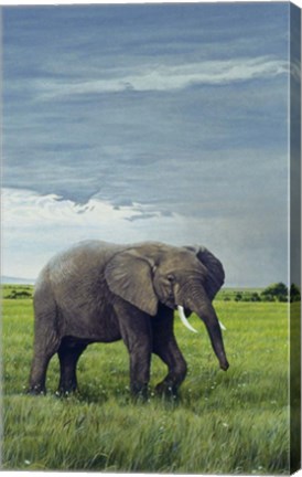 Framed Elephant Print