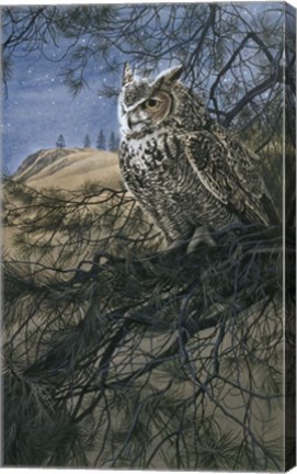 Framed Great Horned Owl 2 Print