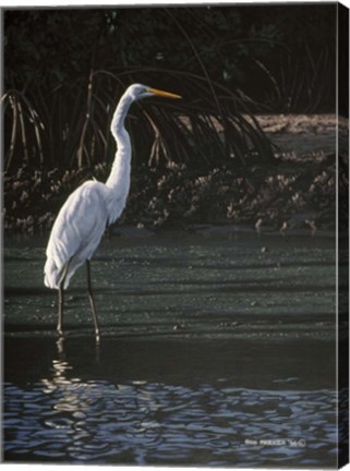 Framed Great Egret Print