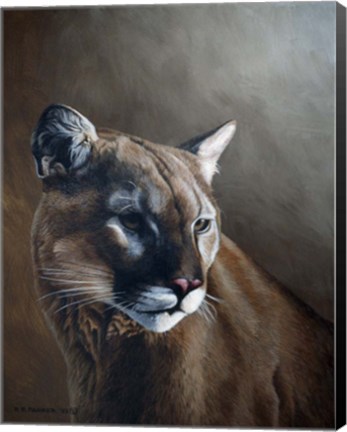 Framed Cougar Print
