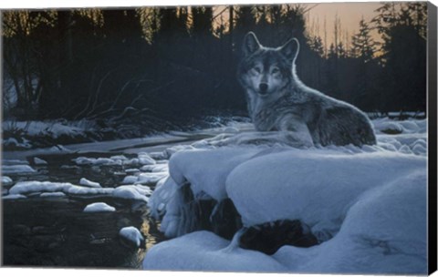 Framed Evening Solitude Print