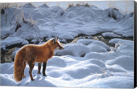 Framed Icy Morning- Red Fox Print