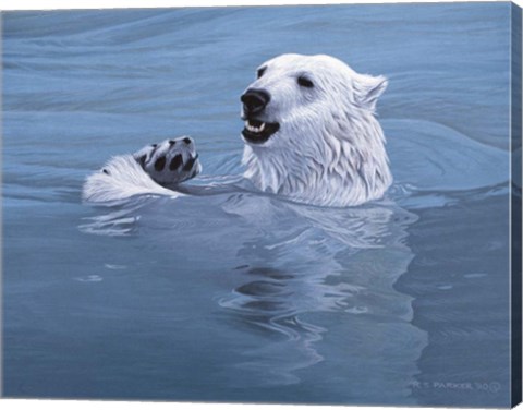 Framed Polar Bear Print