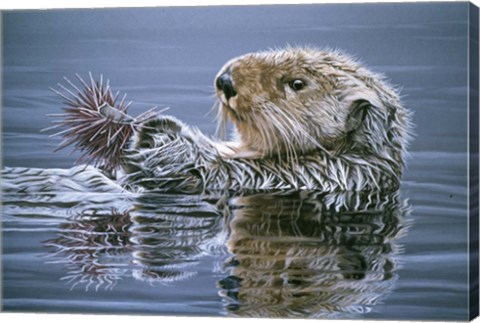 Framed Sea Otter With Urchin Print