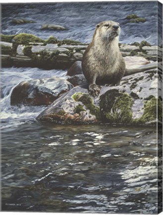 Framed Riverside Pause- River Otter Print