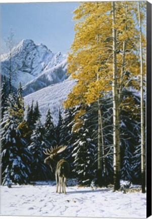 Framed Trembling Aspen Print