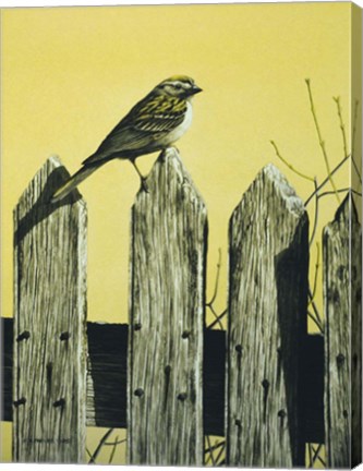 Framed Picket Fence Print