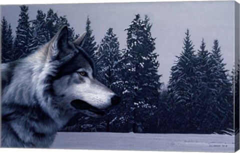 Framed Gray Wolf Portrait Print