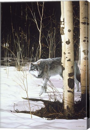 Framed Grey Wolf &amp; Aspen Print
