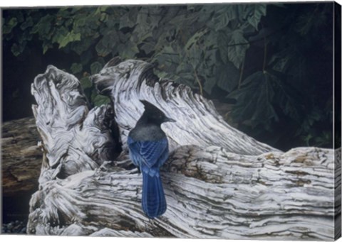 Framed Driftwood 2 Print