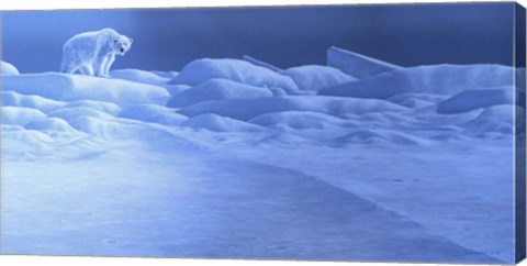 Framed Ice Palace Print
